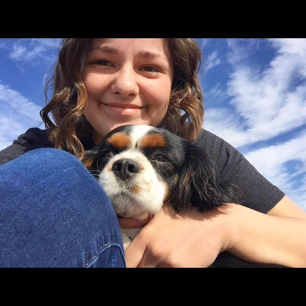 Meet your Posher, Holland